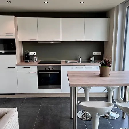 Luxurious Flat Offering Comfort And Privacy In Appartement Martelange